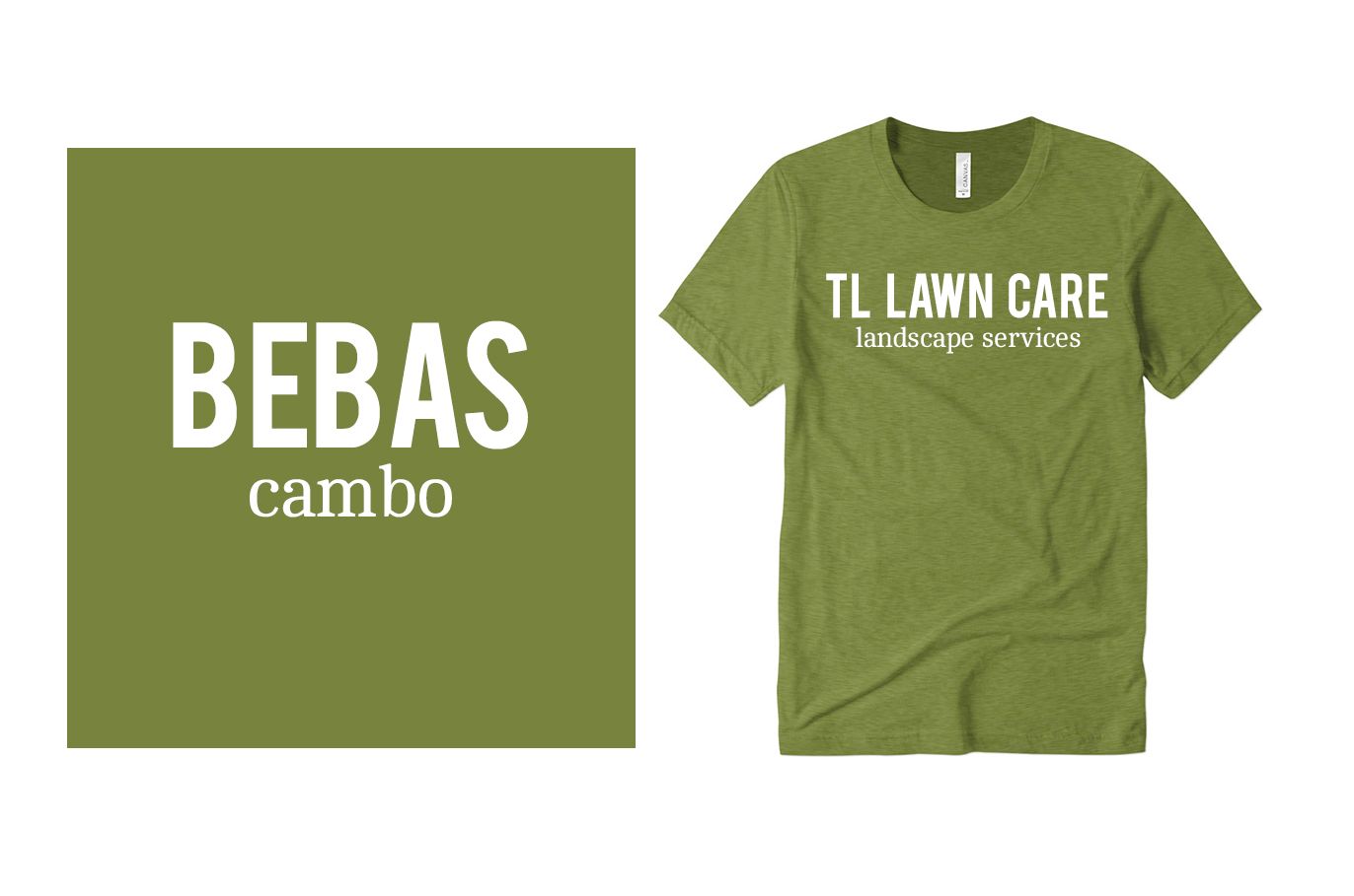 Example font pairing of Bebas and Cambo.