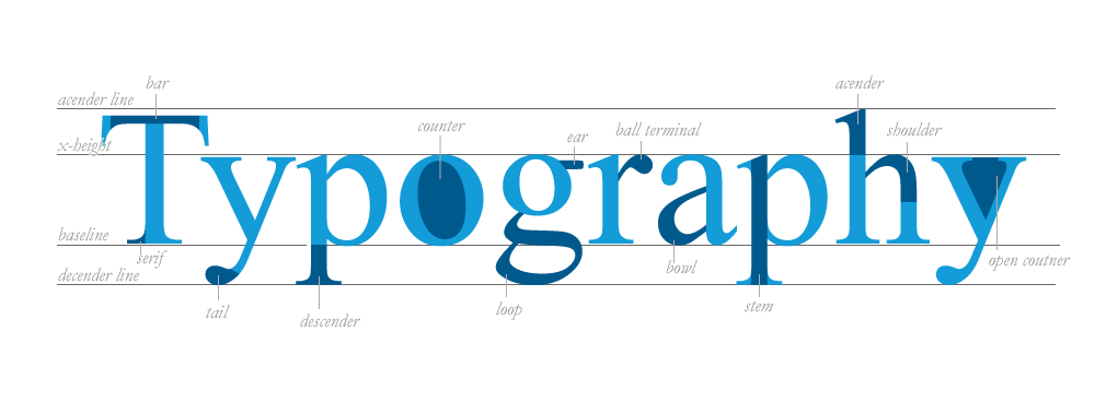 A diagram of the anatomy of a typeface.